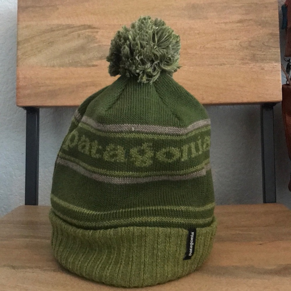 Patagonia logo beanie